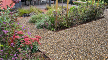 Vlindervriendelijke beplanting