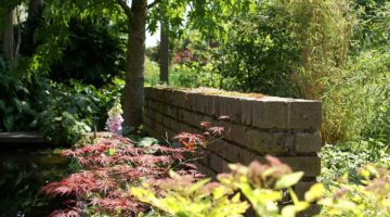 Groene vijvertuin met muurtje