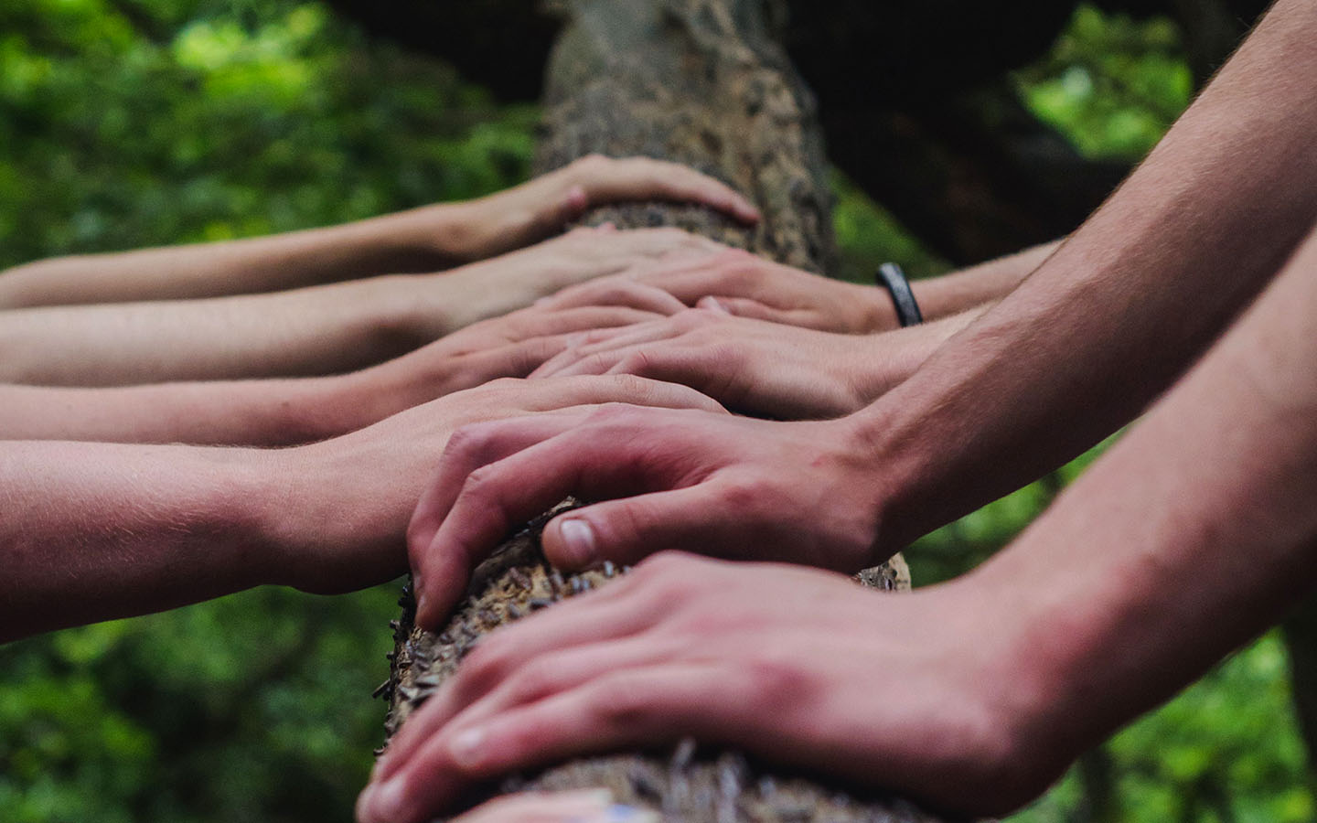 Hoveniersbedrijf vroege team